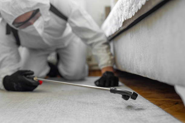 Professional Termite Control technician working in Millen, GA