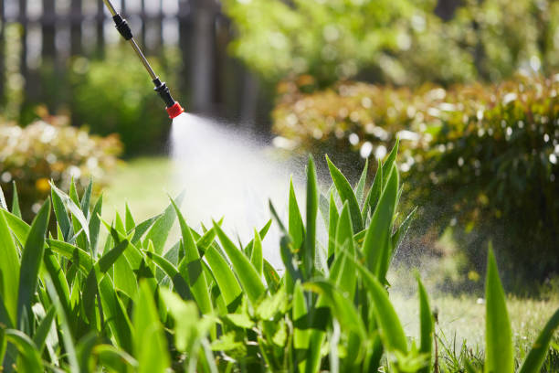 24/7 Emergency Termite Control experts in Millen, GA