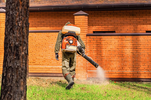 Top rated local Termite Control specialists in Millen, GA